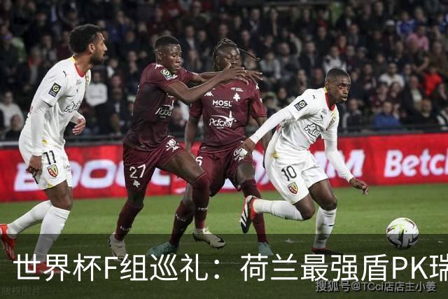 世界杯F组巡礼：荷兰最强盾PK瑞典犀利刀 日本短板明显