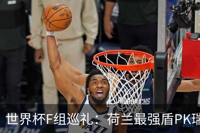 世界杯F组巡礼：荷兰最强盾PK瑞典犀利刀 日本短板明显