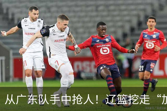 从广东队手中抢人！辽篮挖走“加强版杜润旺”，杜锋痛失锋线新星