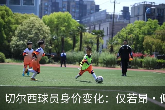 切尔西球员身价变化：仅若昂·佩德罗、哈托身价上升，13人下降