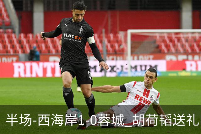 半场-西海岸1-0蓉城 胡荷韬送礼内尔松破门韦林顿进球被吹