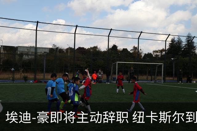 埃迪-豪即将主动辞职 纽卡斯尔到底发生了什么？