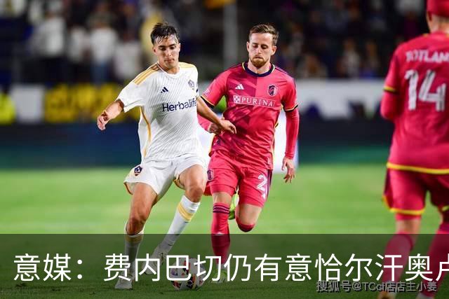 意媒：费内巴切仍有意恰尔汗奥卢，国米将其视为非卖品